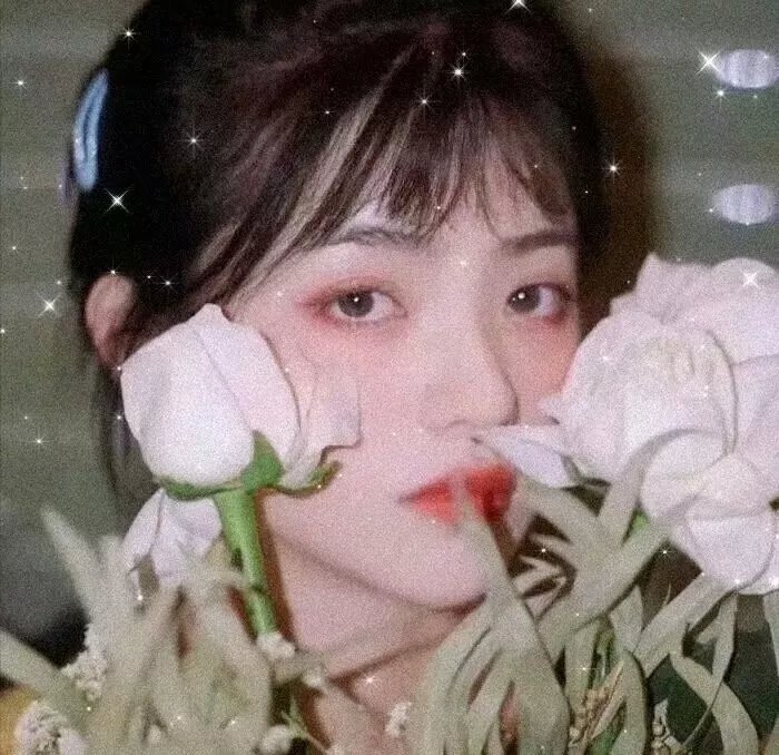 美好生活手册